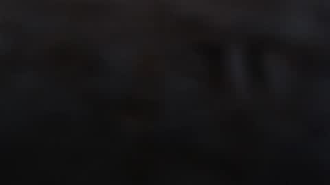 funcat01 online show from February 1, 12:57 pm