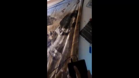 funinbed607918 online show from April 25, 2:36 am