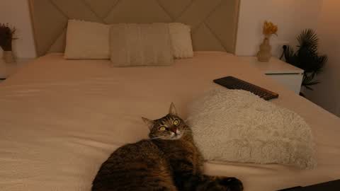 Katy Noel -  online show from September 9, 2:28 pm