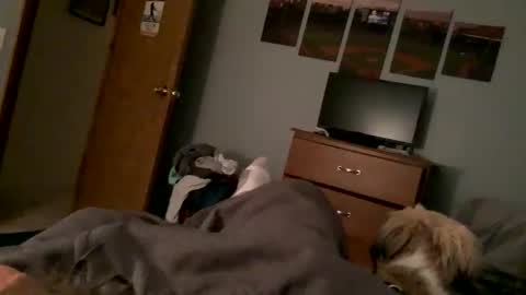 funnyfkingguy online show from January 16, 2:31 am