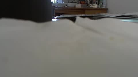 funone8848 online show from January 13, 8:04 pm