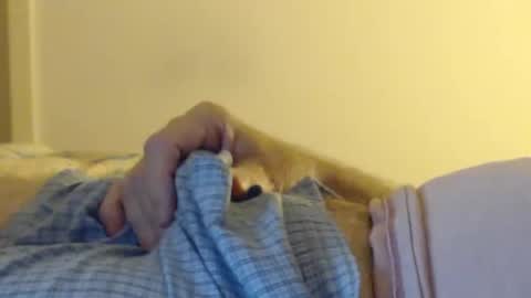 funtime072 online show from January 8, 11:32 am