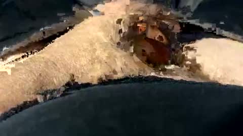 Snapshot of funtime741 chatting on December 10, 2:16 am funtime741 online show from December 10, 2:16 am