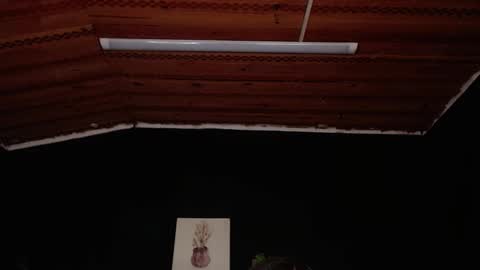 FIRE AND FOX online show from November 18, 6:55 pm