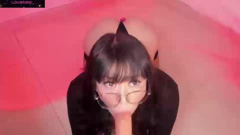 PROXIMO SHOW NOVIEMBRE 16   NEXT SHOW NOVEMBER  16    online show from September 19, 10:02 pm