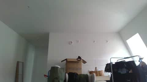 Garfield online show from March 21, 9:47 am