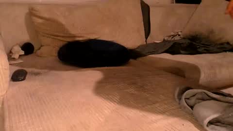 Lassmiranda online show from September 15, 10:55 pm