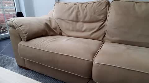 Gentle online show from December 30, 10:43 am