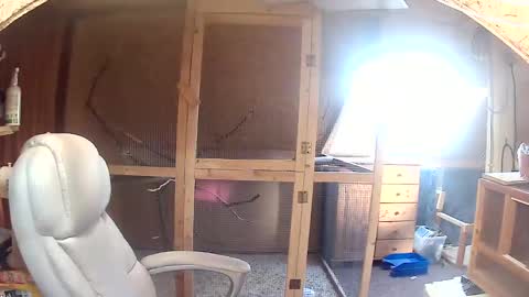 germany_50 online show from September 20, 6:38 am