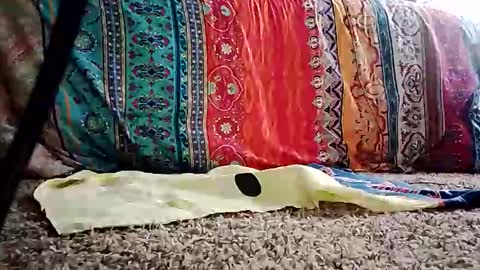 getmestarted69 online show from December 3, 8:42 pm