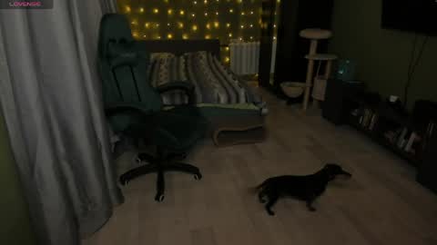 Meowww online show from April 15, 7:58 pm