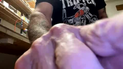 Snapshot of gngnxxx chatting on October 23, 4:47 am gngnxxx online show from October 23, 4:47 am