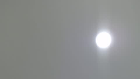 goath_08 online show from February 7, 10:41 pm