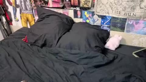 Amy online show from February 28, 7:07 pm