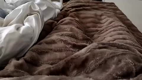 Hazme gozar online show from February 14, 8:42 am