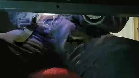 grapefruit online show from October 1, 8:24 am