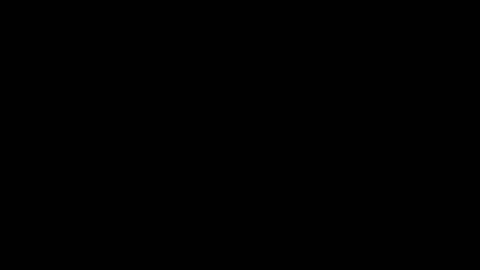 Groot online show from March 1, 2:10 pm