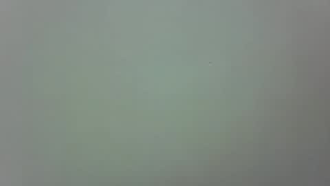 growerboy25 online show from February 27, 5:27 pm