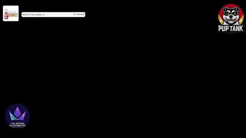 Alpha pup online show from November 29, 11:34 pm