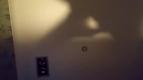 h_rd333 online show from November 6, 1:36 pm