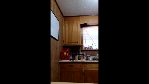 hailstorm32 online show from April 19, 6:54 pm