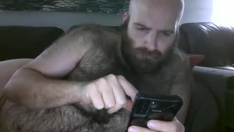 Hairiest Bear online show from January 18, 8:34 am