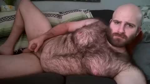 Hairiest Bear online show from February 6, 6:54 pm