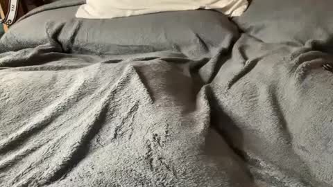 J  M online show from March 5, 6:01 am