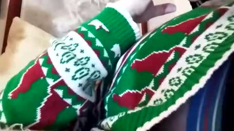 Marty online show from February 15, 9:46 pm