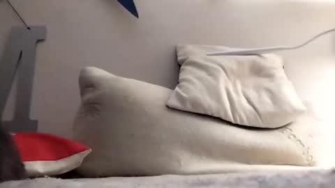 Marty online show from November 4, 12:23 am