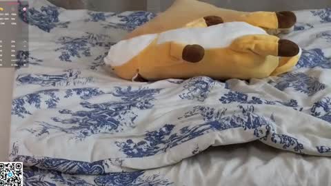 Nellie online show from January 31, 6:02 am