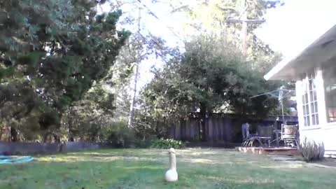 HandySmurf online show from December 5, 10:17 pm