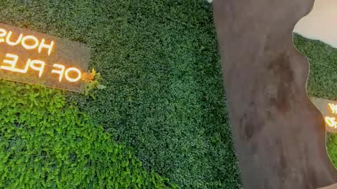 Hanna online show from December 15, 2:24 pm