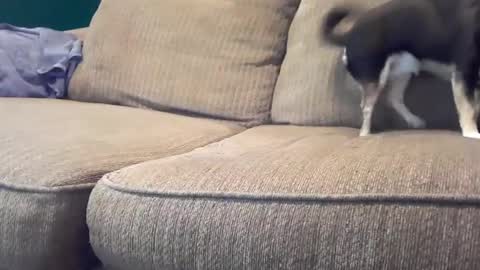 hardcock2share online show from January 31, 12:17 am