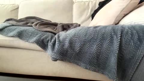 Snapshot of harddom95 chatting on December 6, 11:06 am hardom online show from December 6, 11:06 am