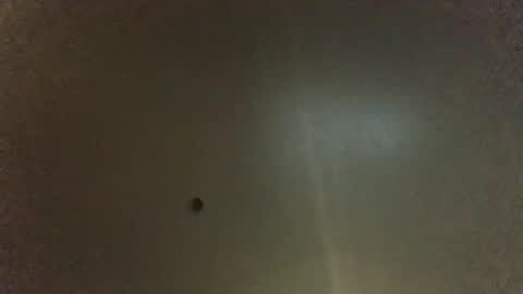 For You online show from November 30, 10:17 pm