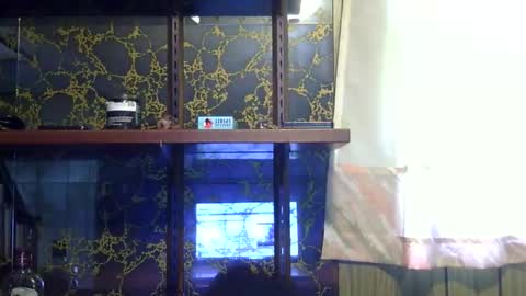 heatwavee online show from November 4, 3:35 pm