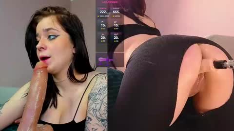 Neko online show from February 11, 11:09 am