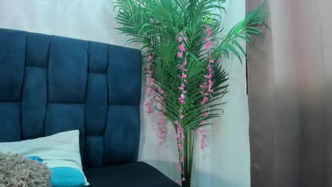 holly online show from November 24, 7:12 pm