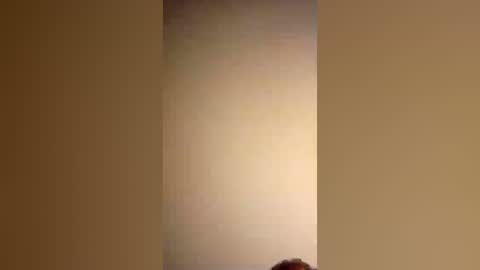 honeybear2026 online show from July 3, 5:34 am
