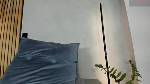 Sofia independent model online show from December 15, 11:50 am