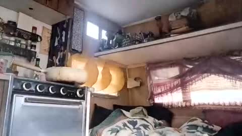 hoodoou online show from January 6, 11:53 pm