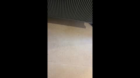 horny4more691 online show from March 10, 6:56 pm