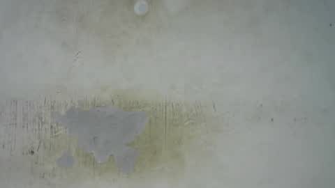 Bella online show from March 14, 4:11 pm