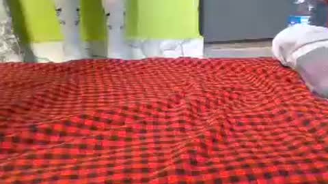 hornysoul02 online show from July 13, 12:53 pm