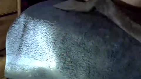 Snapshot of horse_dick9 chatting on September 16, 7:55 am horse_dick9 online show from September 16, 7:55 am