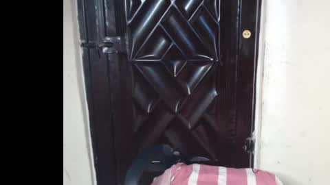 Coco online show from January 12, 8:32 am