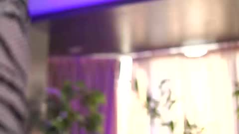 Anais online show from September 28, 6:33 am