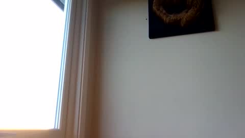 hototo2 online show from November 25, 11:31 am