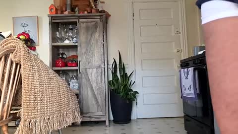 hotrox6942 online show from September 12, 11:01 am